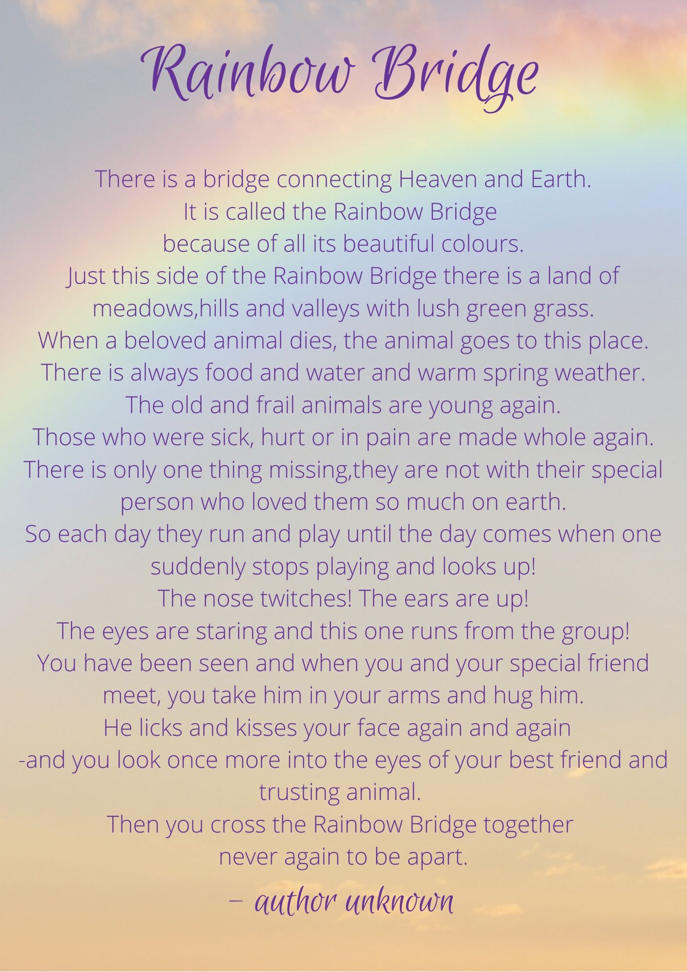 The Rainbow Bridge - The Healing Horse Sanctuary